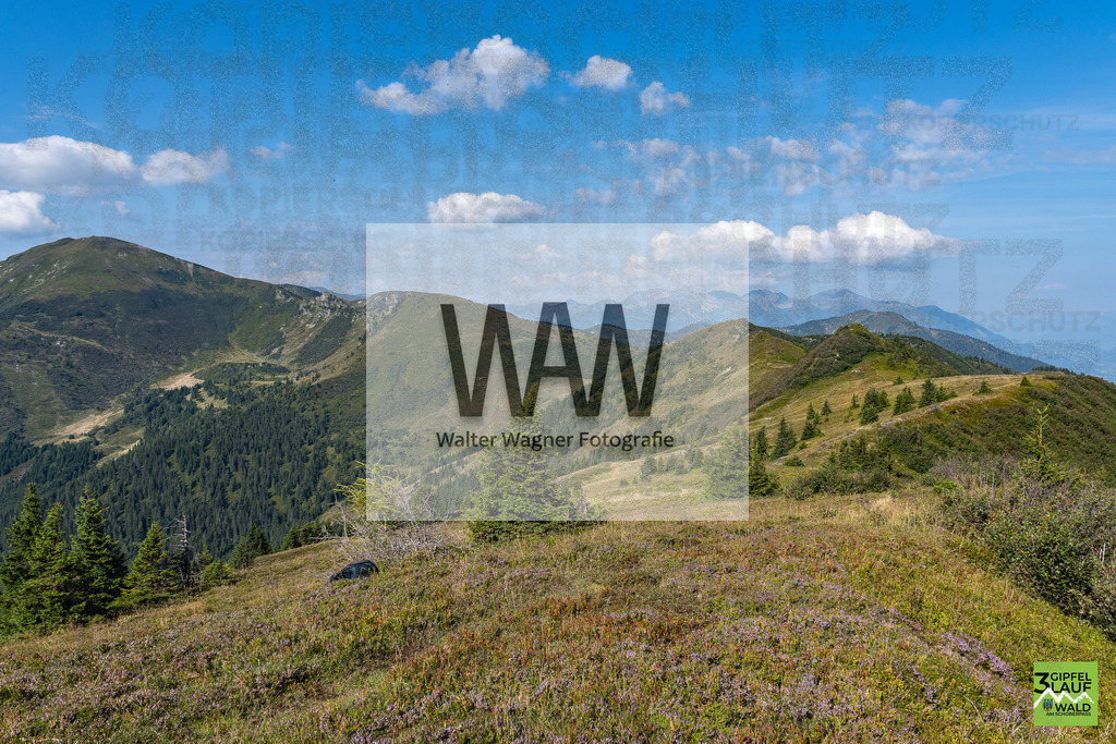 WWW00431 | walter-wagner-fotografie