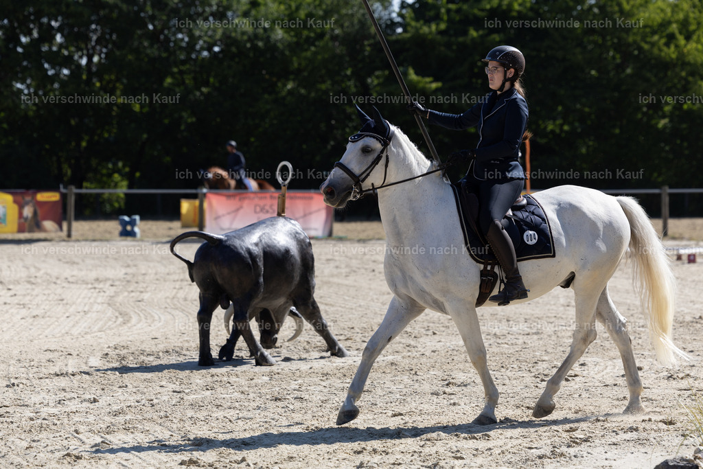 WA_Trail_4_KerstinBernhardt-11 | working equitationturnier fotograf videograf stoibphotography marixx film working equitation deutschland reitsport turnierfotografie eventfotografie equestrian events