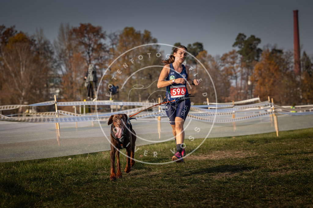 CaniXpix_0L8A0057 | Hundefotografie, Tierfotograf, Pfotenfotografie, Fotoshooting Hund, Hunde Portrait, Hundesport, Hundeportraits, Heideshooting, Hunde, Sportfotograf, Hundefotograf, Turnierhundsport, THS,  - Realisiert mit Pictrs.com
