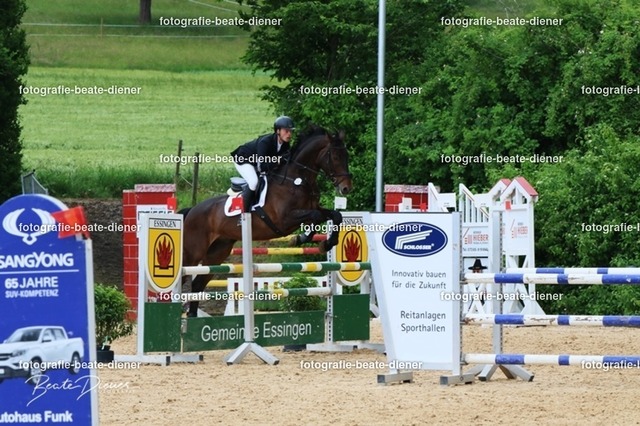 OHT2161 | Fotografie, Tiere, Hunde, Katzen, Pferde, Sportfotografie, Fotosession, Tierfotografie, Turnierfotografie, Fotografin, Fotograf - Realisiert mit Pictrs.com