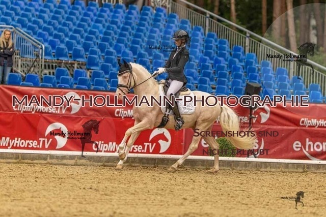 28-8-26 5j DRE-962 | mandyhollmannphotographie