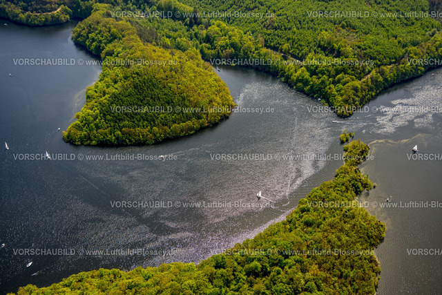 Heimrath240501823Rursee | Luftbild, Rursee Rurtalsperre und bewaldete Uferbereiche, der Rursee mit Spitze der Insel Eichert und Halbinsel Tonsberg und Segelboote im Gegenlicht, bewaldete Uferbereiche, Nationalpark Eifel, Hasenfeld, Heimbach, Nordrhein-Westfalen, Deutschland