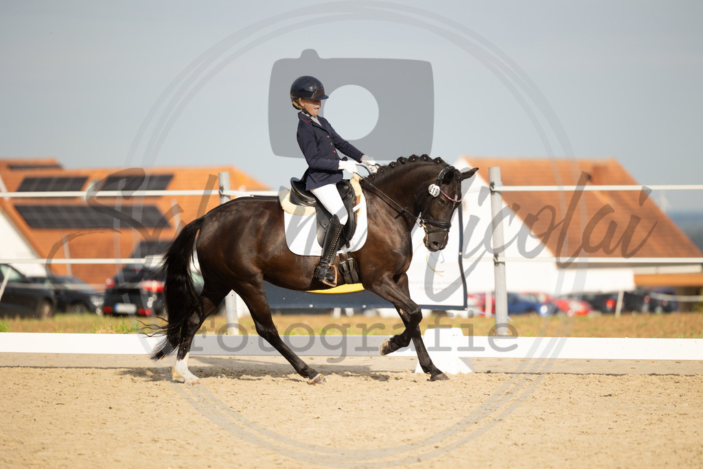 994A1022 | sabrinanicolaifotografie - Realisiert mit Pictrs.com