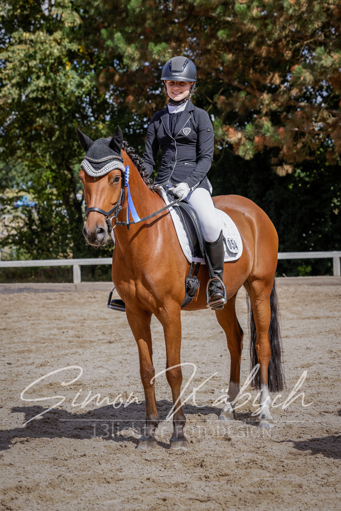 20250906-_3LI5794 | Tierfotografie Pferde, Hunde, Katzen, Haustiere.
Turnierfotografie Reitturniere, Reiten, Springreiten, Dressur in Hanau, dem Main-Kinzig-Kreis und dem Rhein-Main- Gebiet um Frankfurt