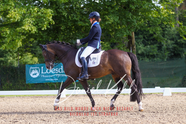 DKP41287 | Turniersportfotografie; Pferdefotografie; Dressurfotografie