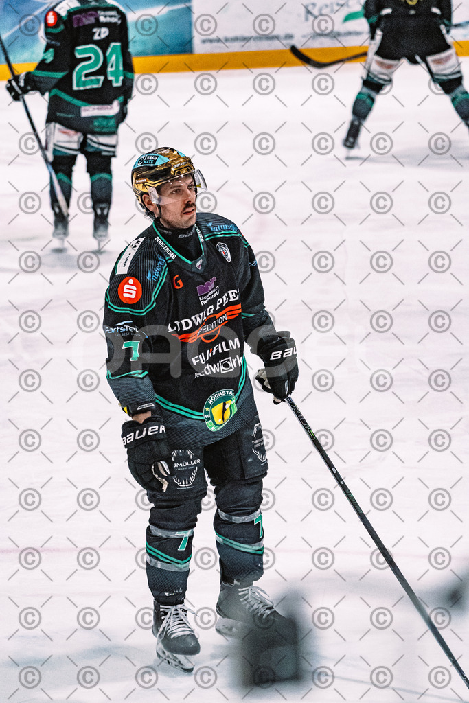 Alligators_vs_Toelz_15_02_2026-24 | Höchstadt Alligators Fotogalerie: Eishockey-Action aus Franken. Professionelle Spielfotos, Portraits & Stadionbilder zum Download. Jetzt entdecken! - Realisiert mit Pictrs.com