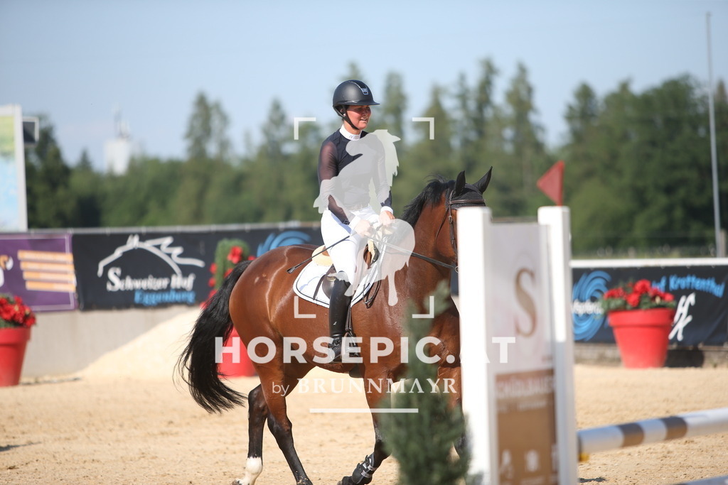 PP016335 | Willkommen bei Brunnmayr - Design & Fotografie – Ihrem Spezialisten für Reitturniere und Pferdeveranstaltungen in Oberösterreich, Salzburg und Bayern! Seit über 17 Jahren sind wir leidenschaftlich dabei.