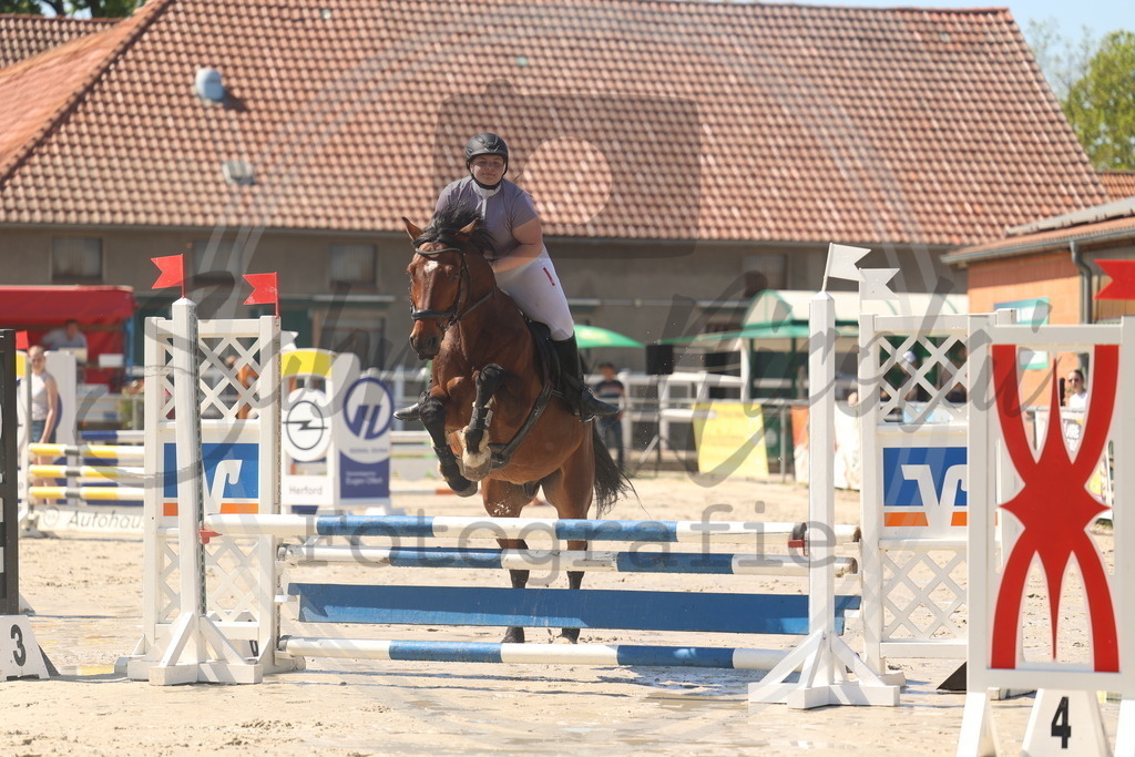 994A5924 | sabrinanicolaifotografie - Realisiert mit Pictrs.com