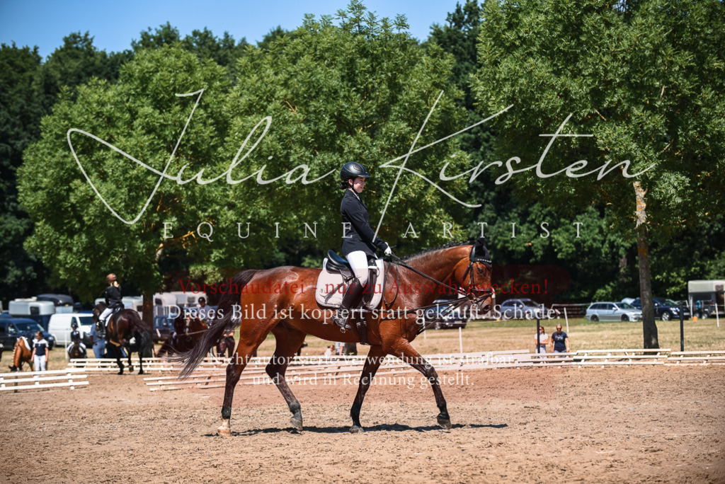 DSC_2745 | Pferde- und Turnierfotografie in Westsachsen. Pferdeportraits, Auftragszeichnungen und intuitive Kunst.