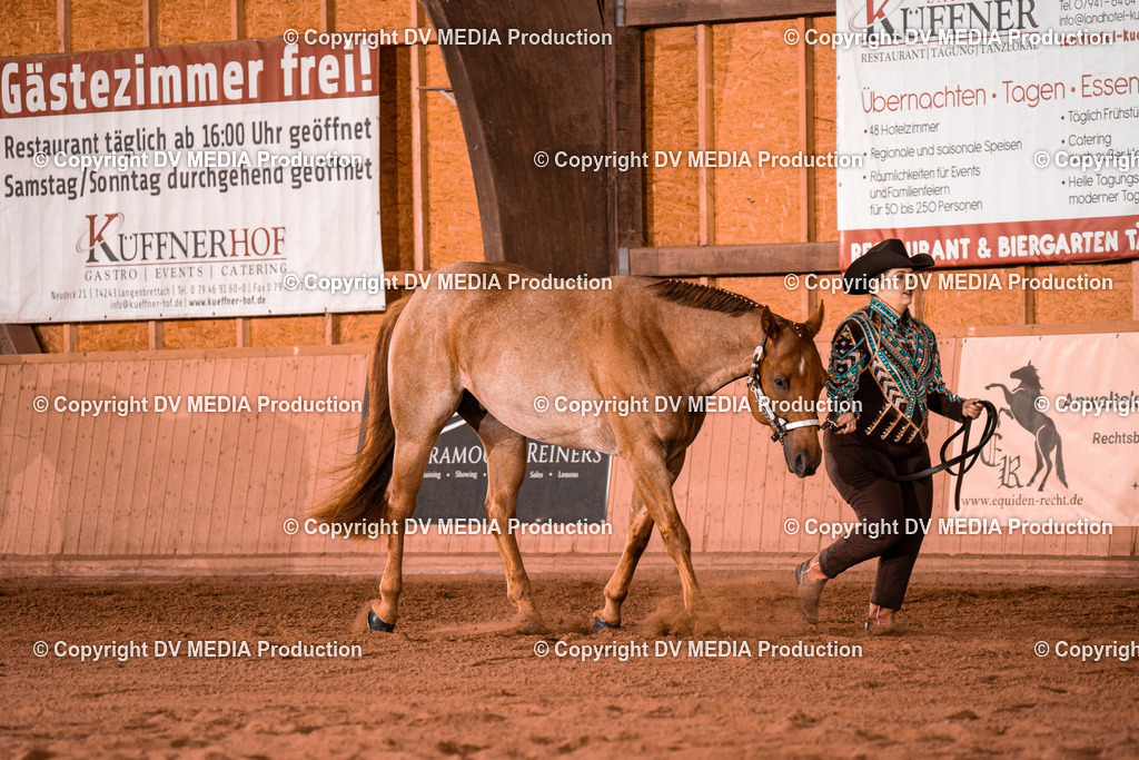 NE100086 | dv-media-shop - Realisiert mit Pictrs.com