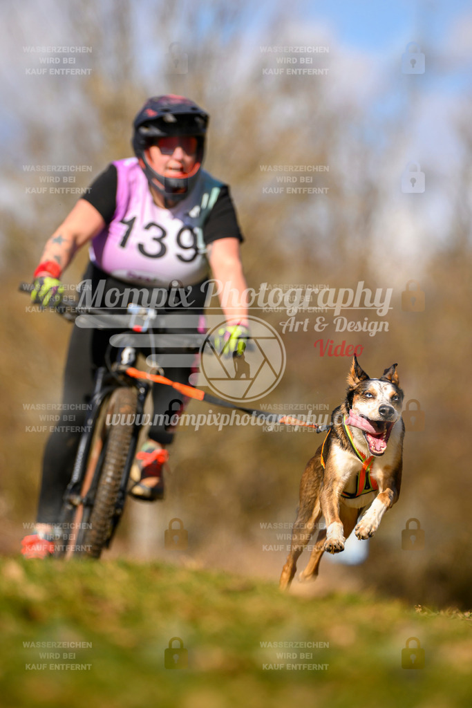 MompixPhotography_10Schwabentrail2026_SO_Bike-112 | PayLife