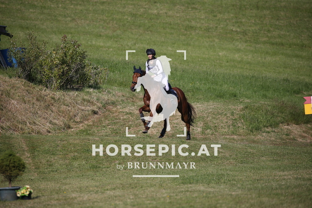 DL2Q2122 | Willkommen bei Brunnmayr - Design & Fotografie – Ihrem Spezialisten für Reitturniere und Pferdeveranstaltungen in Oberösterreich, Salzburg und Bayern! Seit über 17 Jahren sind wir leidenschaftlich dabei.