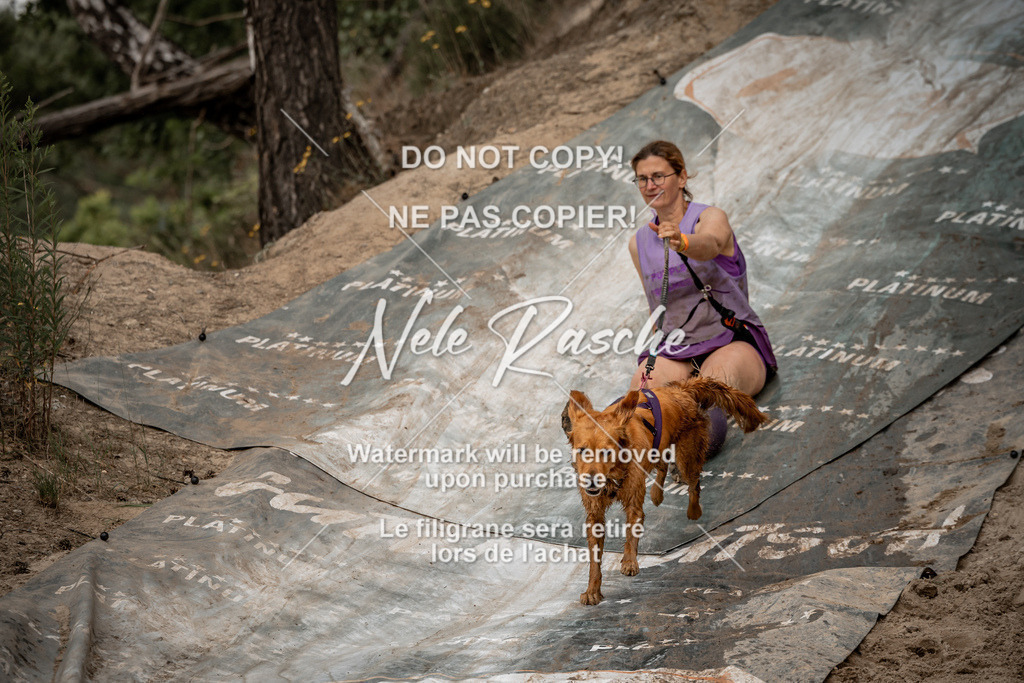 nelerasche_sa1100-1200_497 | nelerasche
