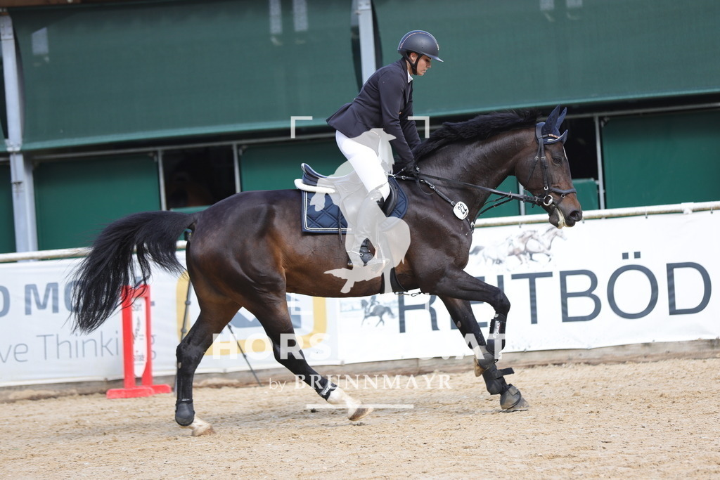 0P6A1957 | Willkommen bei Brunnmayr - Design & Fotografie – Ihrem Spezialisten für Reitturniere und Pferdeveranstaltungen in Oberösterreich, Salzburg und Bayern! Seit über 17 Jahren sind wir leidenschaftlich dabei.