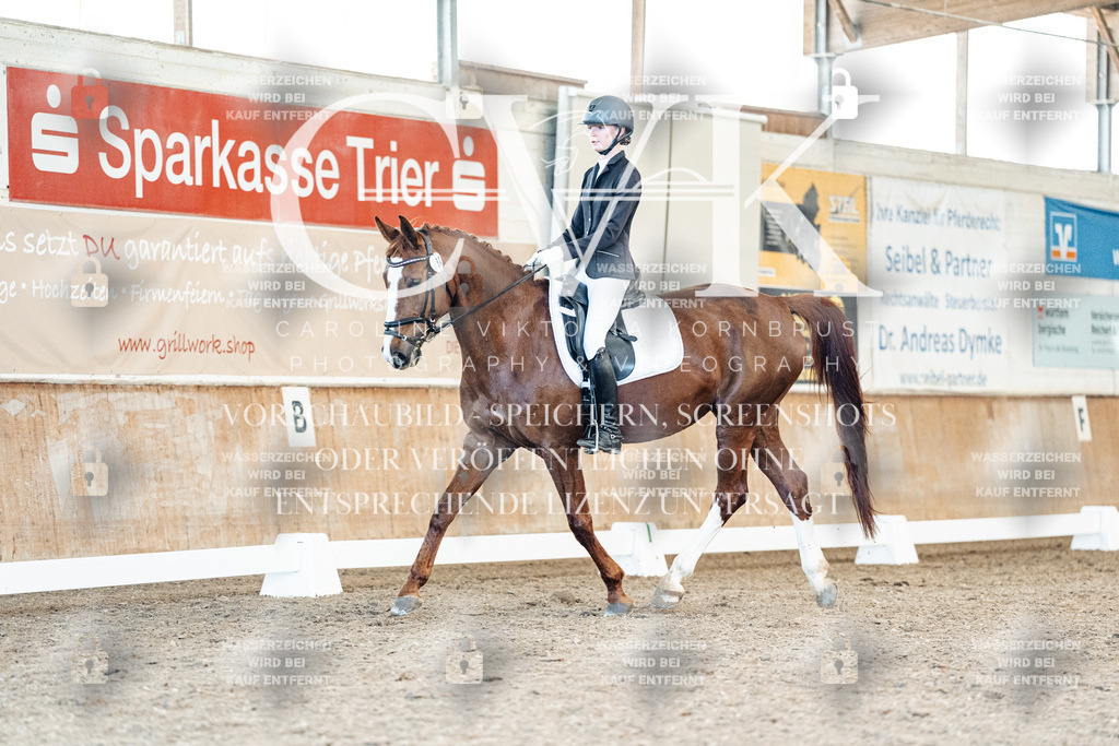 CK908625 | Turnierfotografie Pferdefotografie Trier Rheinland-Pfalz Pferdesport Reitsport Tierfotografie Sportfotografie Pferdevideo Pferdevideografie Equestrianvideography equestrianphotography  - Realisiert mit Pictrs.com