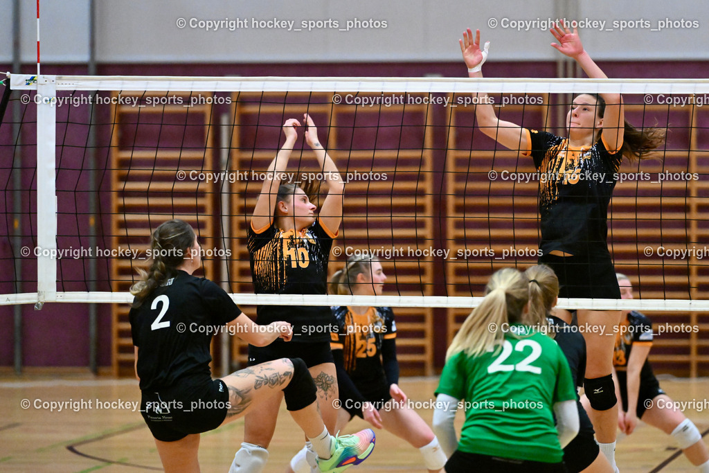 ASKÖ Volley Eagles Villach vs. VC Hausmannstätten | #2 WAILLAND Katharina VC Hausmannstätten, #22 SAUER Sarah VC Hausmannstätten, #10 СЕНІС Еlwira ASKÖ Volley Eagles Villach, #25 SCHULER Chiara ASKÖ Volley Eagles Villach, #19 RABENSTEINER Stefanie ASKÖ Volley Eagles Villach, ASKÖ Volley Eagles Villach vs. VC Hausmannstätten, ASKÖ Volley Eagles Villach vs. VC Hausmannstätten am 01.02.2025 in Villach (Ballspielhalle Lind), Austria, (Photo by Bernd Stefan)