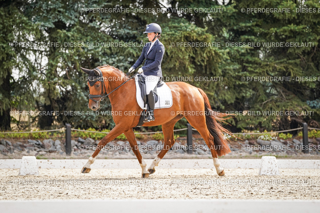 DSC07484 | Pferdegrafie