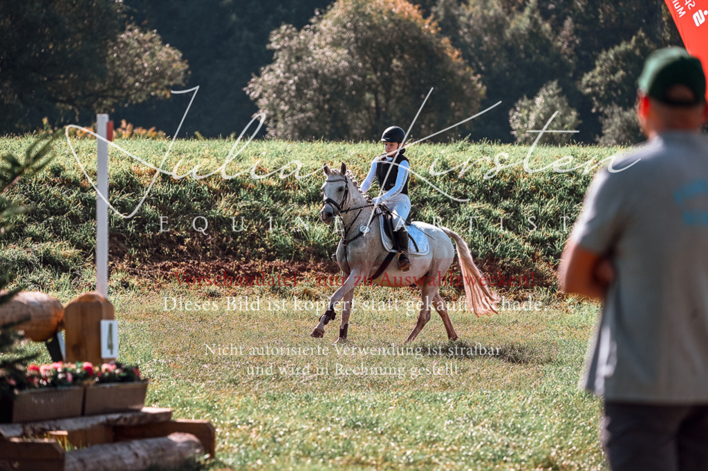 DSC_0637 | Pferde- und Turnierfotografie in Westsachsen. Pferdeportraits, Auftragszeichnungen und intuitive Kunst.