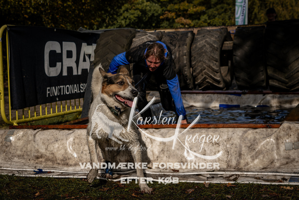 1306_ZZ91994 | kk-dogfotos