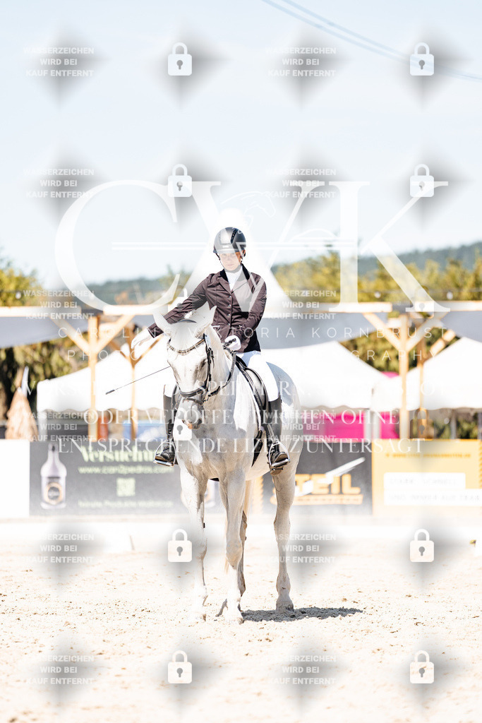 CK909964 | Turnierfotografie Pferdefotografie Trier Rheinland-Pfalz Pferdesport Reitsport Tierfotografie Sportfotografie Pferdevideo Pferdevideografie Equestrianvideography equestrianphotography  - Realisiert mit Pictrs.com