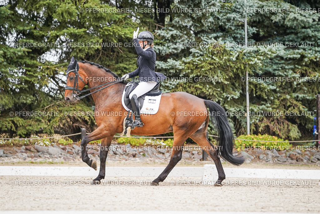 DSC08201 | Pferdegrafie