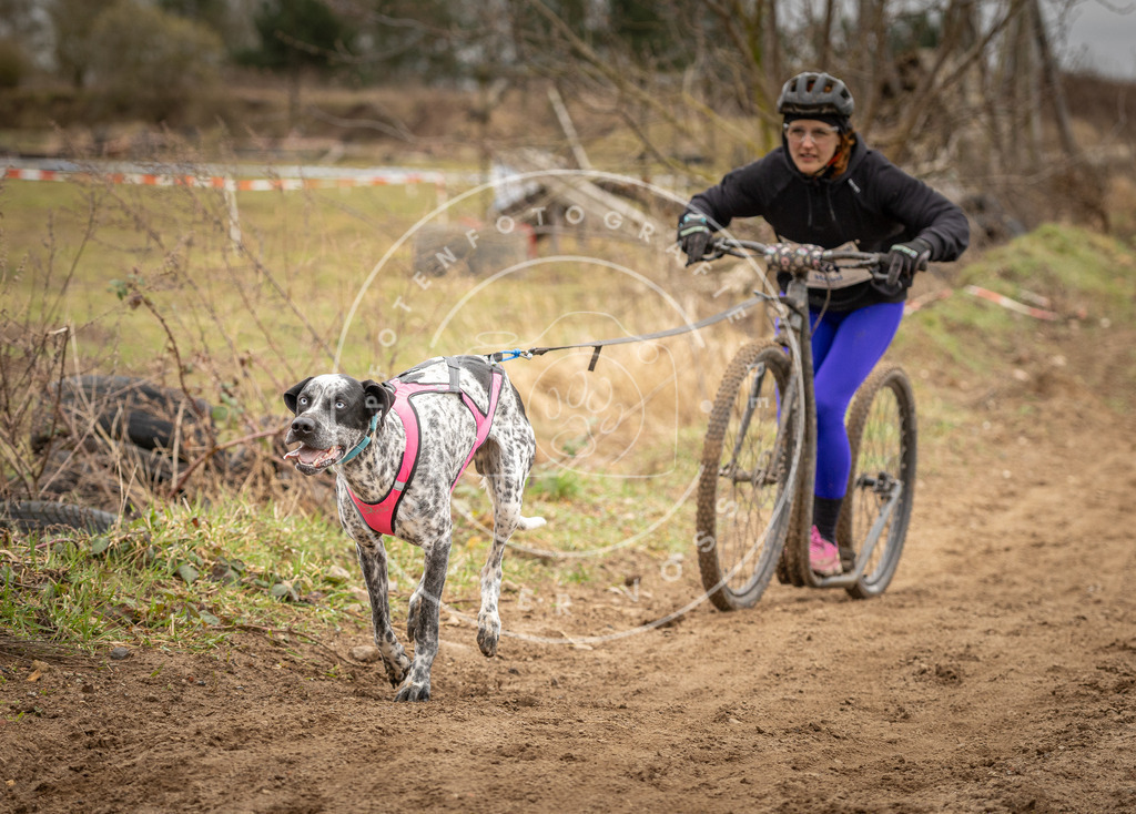 DV3A1295 | Hundefotografie, Tierfotograf, Pfotenfotografie, Fotoshooting Hund, Hunde Portrait, Hundesport, Hundeportraits, Heideshooting, Hunde, Sportfotograf, Hundefotograf, Turnierhundsport, THS,  - Realisiert mit Pictrs.com