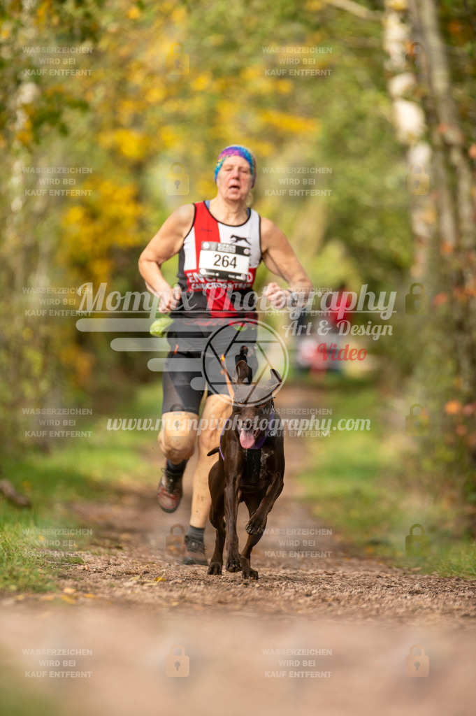 TSB_2023_E4_Canicross-123 | PayLife