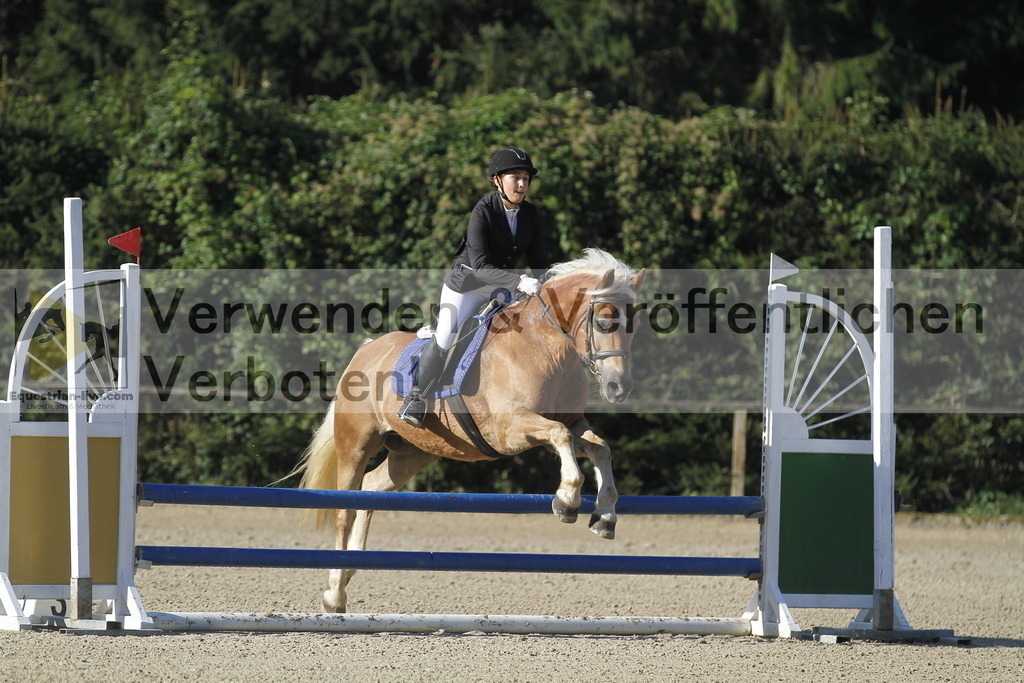 _MG_3834 | equestrian-live-com