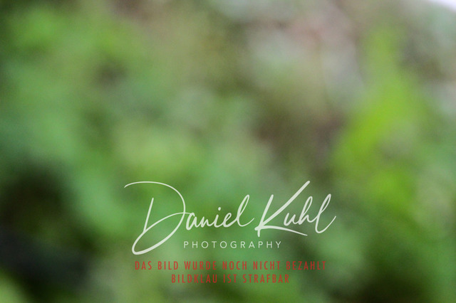 DKP45751 | Turniersportfotografie; Pferdefotografie; Dressurfotografie