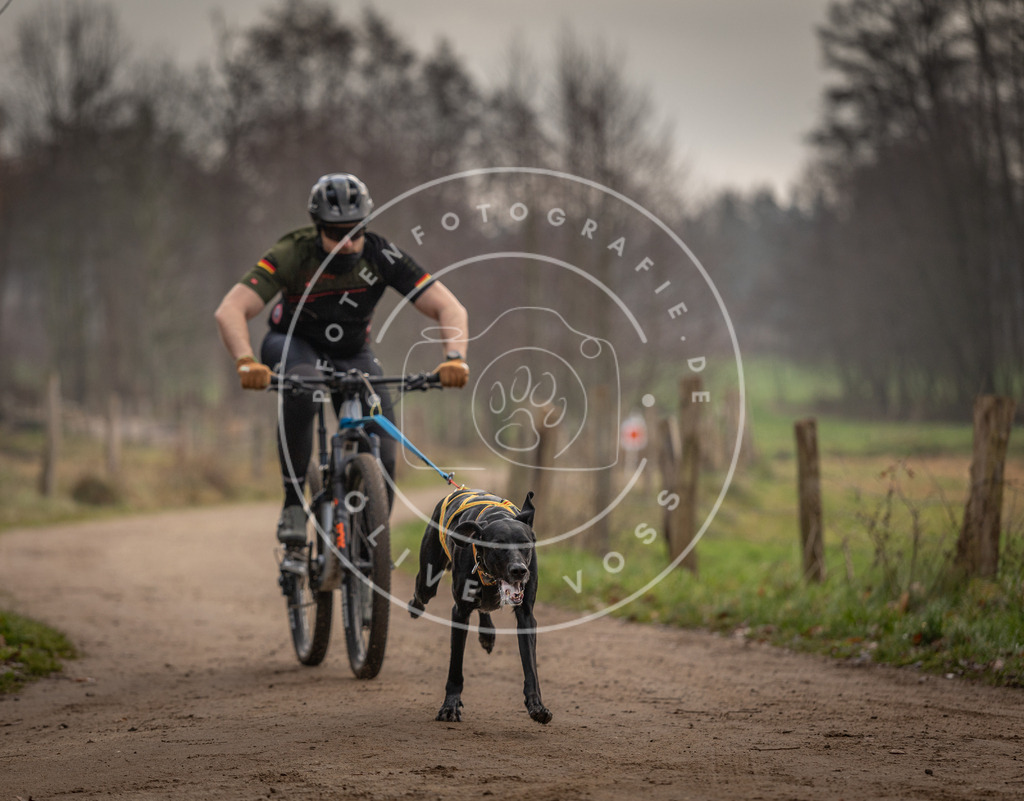 Pfotenfotografie_DV3A1696 | Hundefotografie, Tierfotograf, Pfotenfotografie, Fotoshooting Hund, Hunde Portrait, Hundesport, Hundeportraits, Heideshooting, Hunde, Sportfotograf, Hundefotograf, Turnierhundsport, THS,  - Realisiert mit Pictrs.com