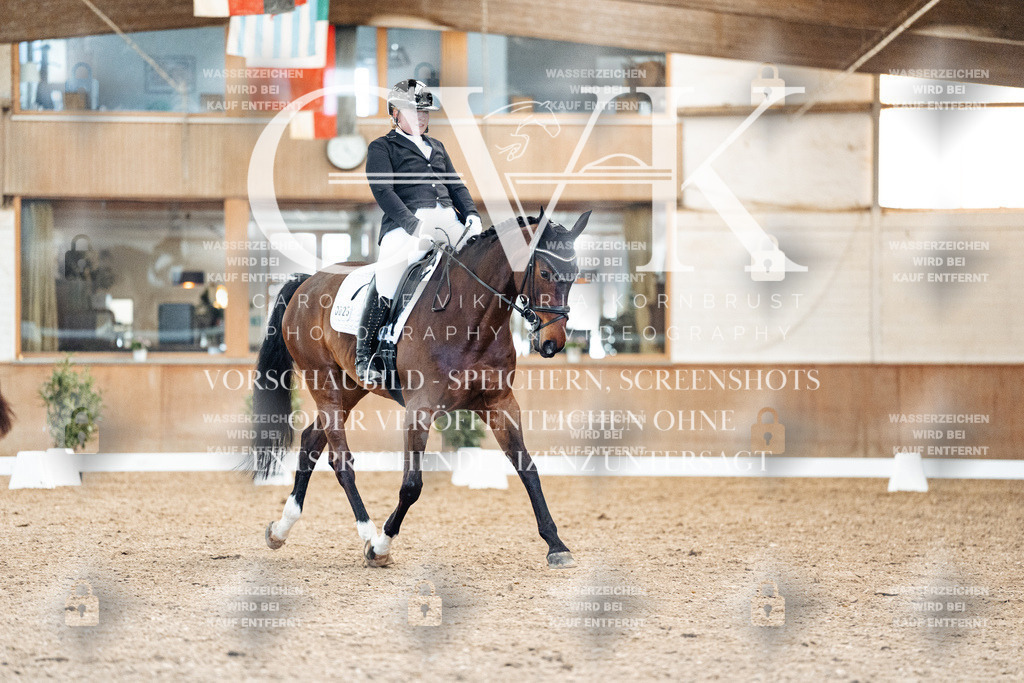 CK909389 | Turnierfotografie Pferdefotografie Trier Rheinland-Pfalz Pferdesport Reitsport Tierfotografie Sportfotografie Pferdevideo Pferdevideografie Equestrianvideography equestrianphotography  - Realisiert mit Pictrs.com