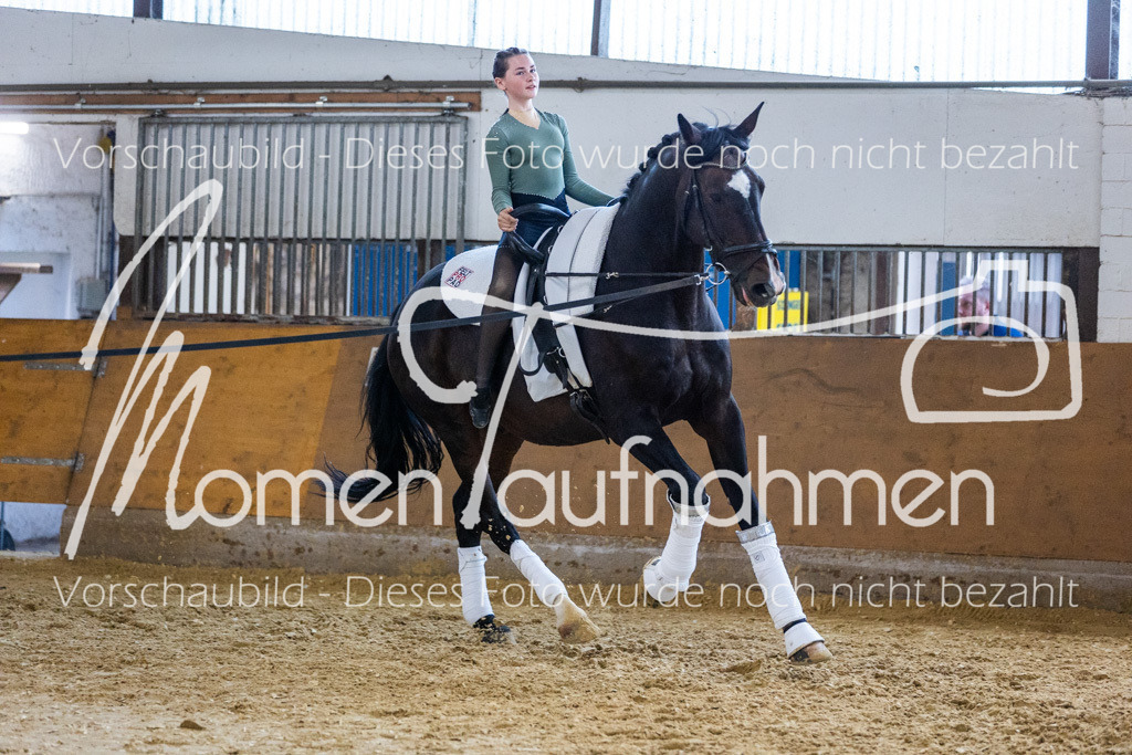 Einzel-029 | MomenTaufnahmen Pferdesportfotos