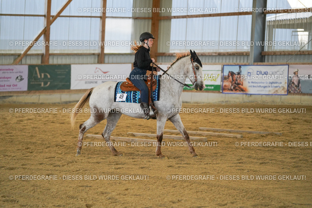 DSC09074 | Pferdegrafie