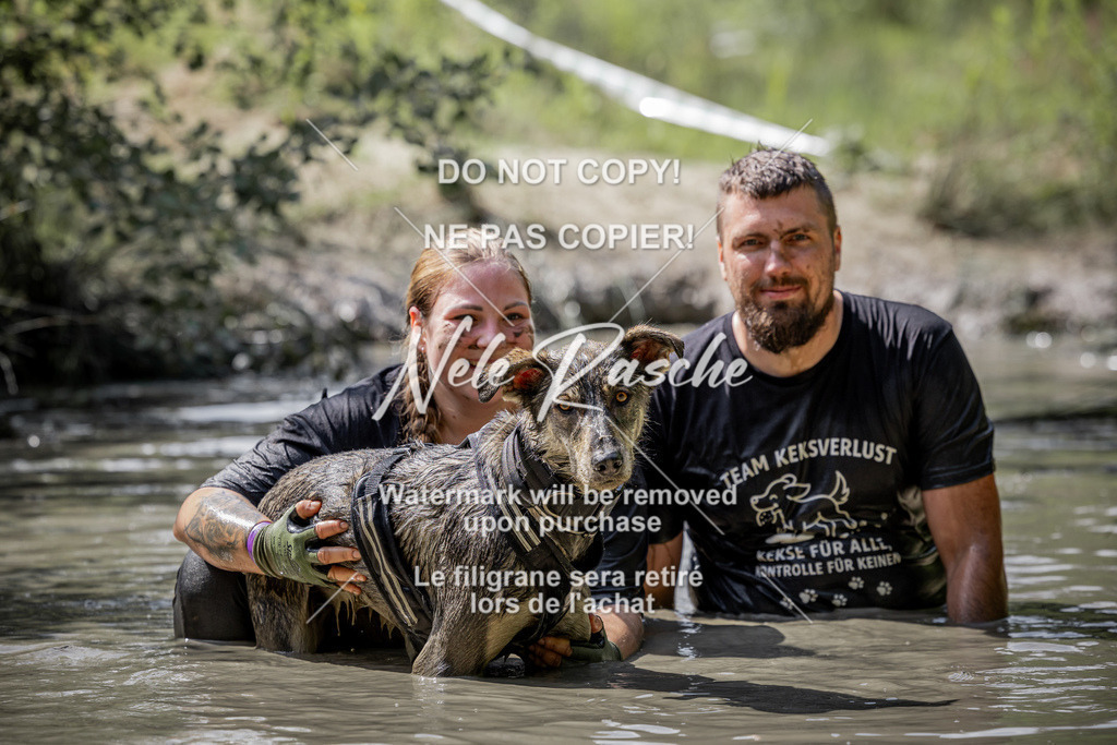 nelerasche_so1030-1100_303 | nelerasche