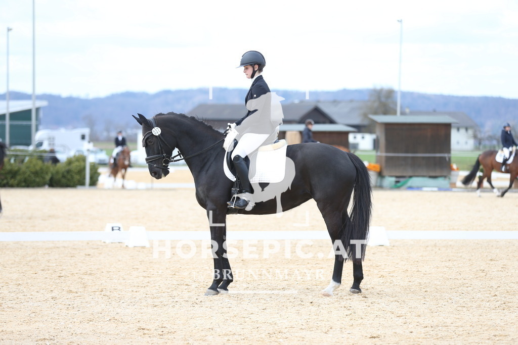 AS8V1413 | Willkommen bei Brunnmayr - Design & Fotografie – Ihrem Spezialisten für Reitturniere und Pferdeveranstaltungen in Oberösterreich, Salzburg und Bayern! Seit über 17 Jahren sind wir leidenschaftlich dabei.