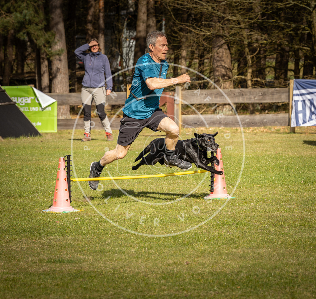Pfotenfotografie_DV3A1514 | Hundefotografie, Tierfotograf, Pfotenfotografie, Fotoshooting Hund, Hunde Portrait, Hundesport, Hundeportraits, Heideshooting, Hunde, Sportfotograf, Hundefotograf, Turnierhundsport, THS,  - Realisiert mit Pictrs.com