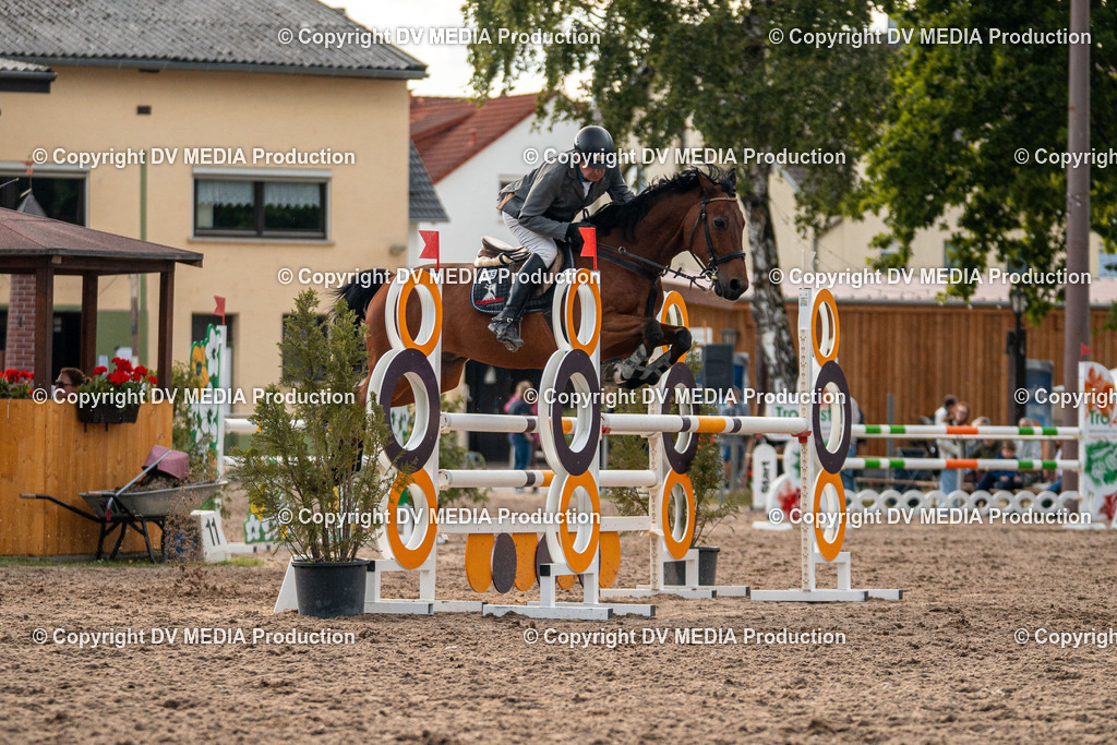 Eppelheim Tag 1-476 | dv-media-shop - Realisiert mit Pictrs.com