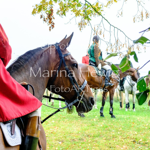 Jagd Kletkamp 26-9525_MarinaHewig | Fotografie, FotoArt, PferdesportArt, Pferdesportfotografie, Landschaftsfotografie, Reisefotografie, Reise, Pferde - Realisiert mit Pictrs.com