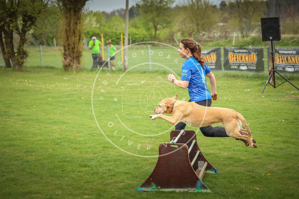 Pfotenfotografie_0L8A9850 | Hundefotografie, Tierfotograf, Pfotenfotografie, Fotoshooting Hund, Hunde Portrait, Hundesport, Hundeportraits, Heideshooting, Hunde, Sportfotograf, Hundefotograf, Turnierhundsport, THS,  - Realisiert mit Pictrs.com