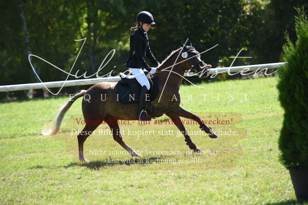 DSC_9470 | Pferde- und Turnierfotografie in Westsachsen. Pferdeportraits, Auftragszeichnungen und intuitive Kunst.