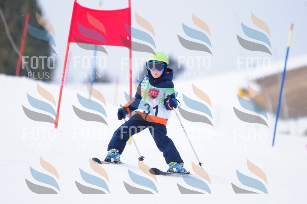 A3471 | holidayphoto