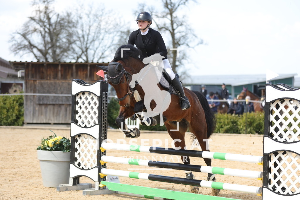 0P6A7453 | Willkommen bei Brunnmayr - Design & Fotografie – Ihrem Spezialisten für Reitturniere und Pferdeveranstaltungen in Oberösterreich, Salzburg und Bayern! Seit über 17 Jahren sind wir leidenschaftlich dabei.