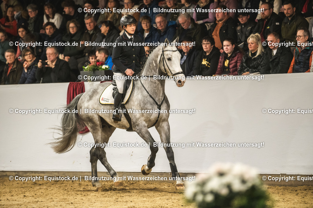 20240302_Hengstvorstellung_Marbach_TOMsPiC_0312-2 | equistock