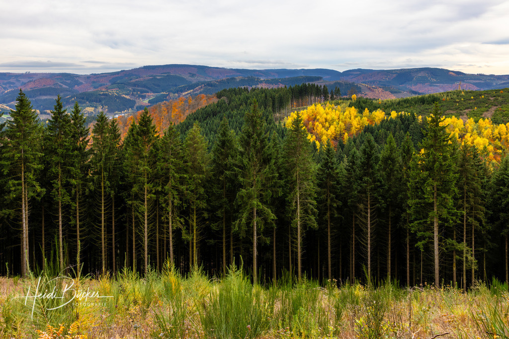 Herbst im Sauerland | Herbst im Sauerland - Realisiert mit Pictrs.com