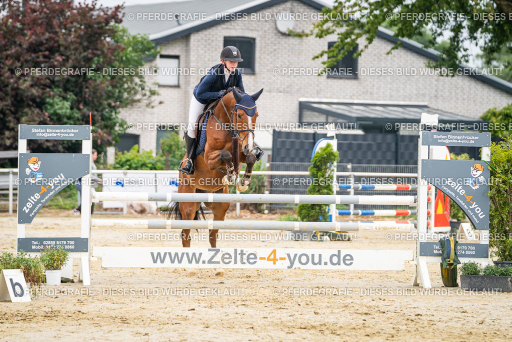 DSC09829 | Pferdegrafie