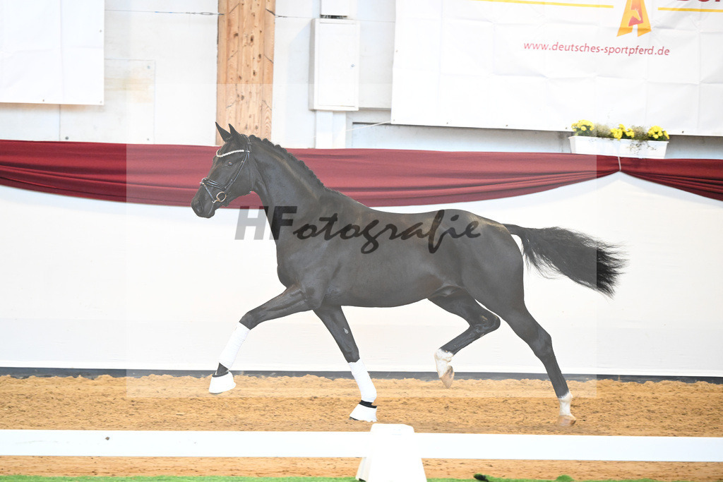 Kat-Nr. 51 v. Toto jr._Winklmaier_66220910 | hf-fotografie - Realisiert mit Pictrs.com