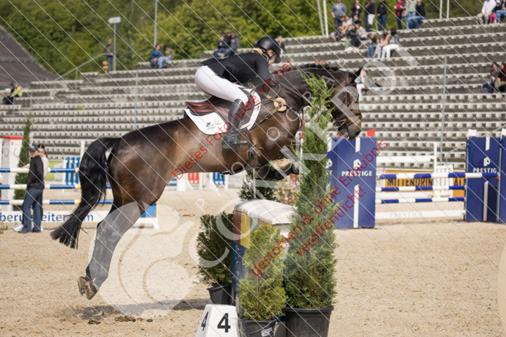 IMG_4874 | Sport-, Event- und Tierfotos in Profiqualität. Einfach auswählen, bestellen und herunterladen. Dein Moment – perfekt festgehalten.