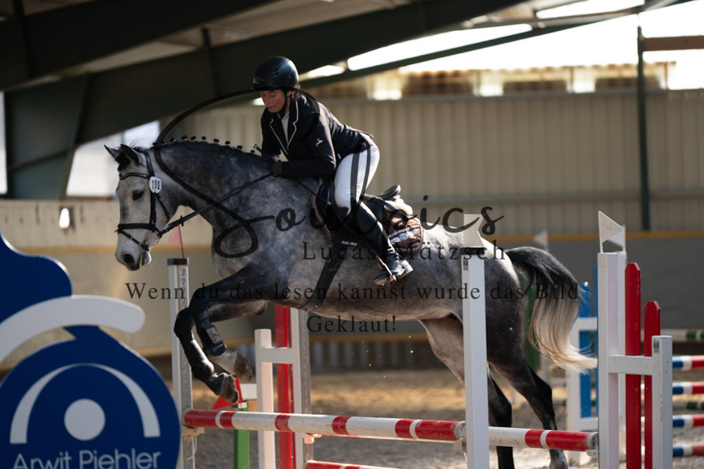 A7V07726 | Pferdefotograf