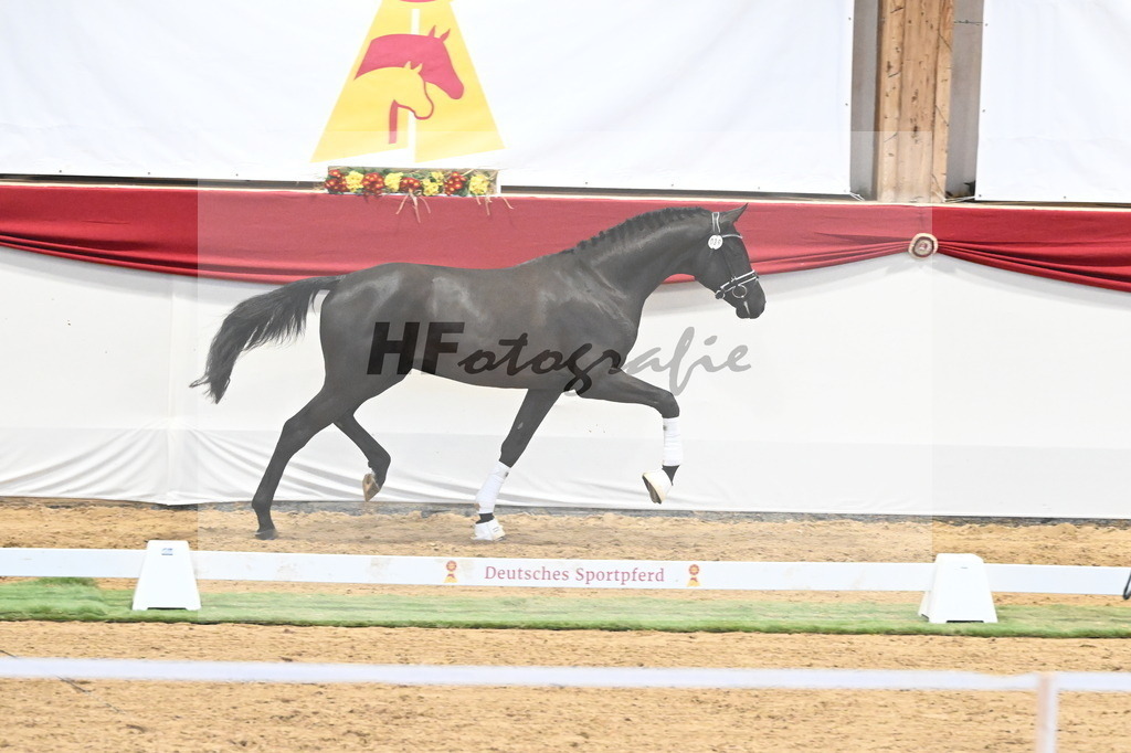 Kat.-Nr. 39 v. De Chirico_Schadock_3260301 | hf-fotografie - Realisiert mit Pictrs.com