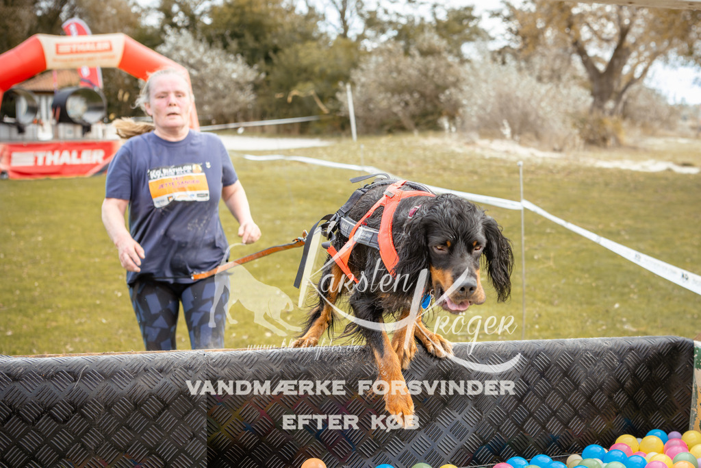 1347_ZZ92195-2 | kk-dogfotos